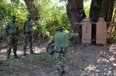 Reconnaissance units undergo summer training