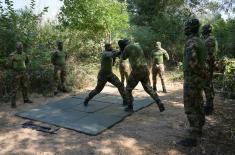 Reconnaissance units undergo summer training