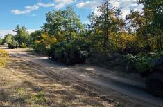 SAF scouts undergo tactical training