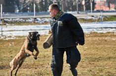 Obuka vodiča i službenih pasa u funkciji zaštite vojne imovine