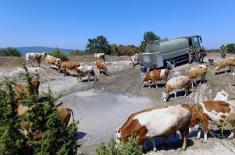 Serbian Armed Forces helping municipalities affected by water shortages