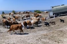 Serbian Armed Forces helping municipalities affected by water shortages