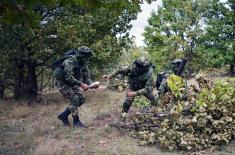 Tactical training in Serbian Armed Forces infantry units