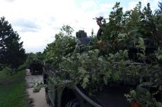 SAF scouts undergo tactical training