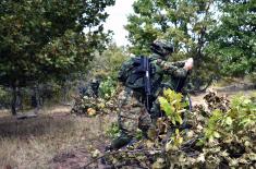 Tactical training in Serbian Armed Forces infantry units