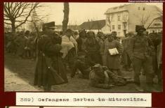 Suffering of Serbs in Austro-Hungarian Monarchy during Great War