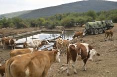 Vojska Srbije pomaže u napajanju stoke na Suvoj planini 