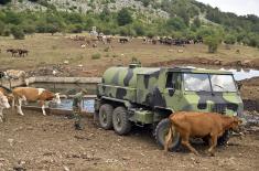 Vojska Srbije pomaže u napajanju stoke na Suvoj planini 