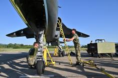 Daytime and night-time flight training