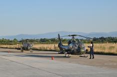 Daytime and night-time flight training