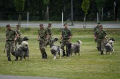 Minister Gašić visits Dog Training Centre in Niš